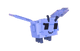 Moth