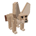 fennecfox