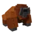 orangutan