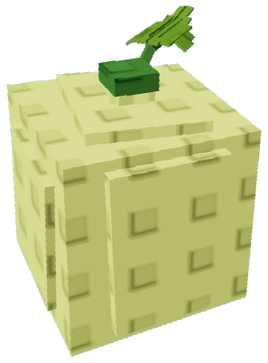 Cantaloupe