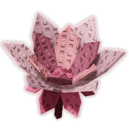 Cyclamen