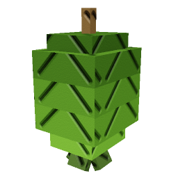 Feijoa