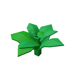 Mint
