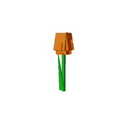 Orange Tulip