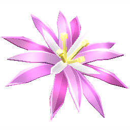 Paradise Petal
