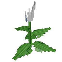 Peace Lily