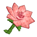 Pink Lily