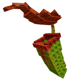 Pitcher Plant