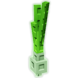Spring Onion