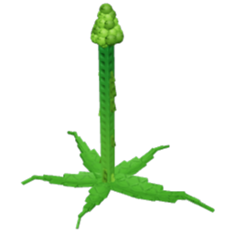 Tall Asparagus